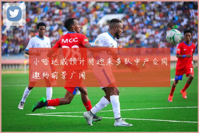 小哈达威预计将迎来多队中产合同邀约前景广阔